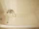 Neu renoviert vor Einzug! Goldiges 1,5 Zimmer EG-Aptmnt. mit EBK, TLBad, Keller u. Balkon - Badezimmer