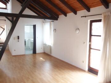 Mitten im Herzen von Schwetzingen! Gemütliche DG Whng. mit hohen Decken,TLBad, Balkon, EBK u. Keller 68723 Schwetzingen, Dachgeschosswohnung