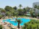 Mallorca: Komfortables, voll ausgestattetes Apartment mit großem Pool, Klimaanlage, Wlan (Mietbar ab 1 Monat) - Pool u. Gartenbereich